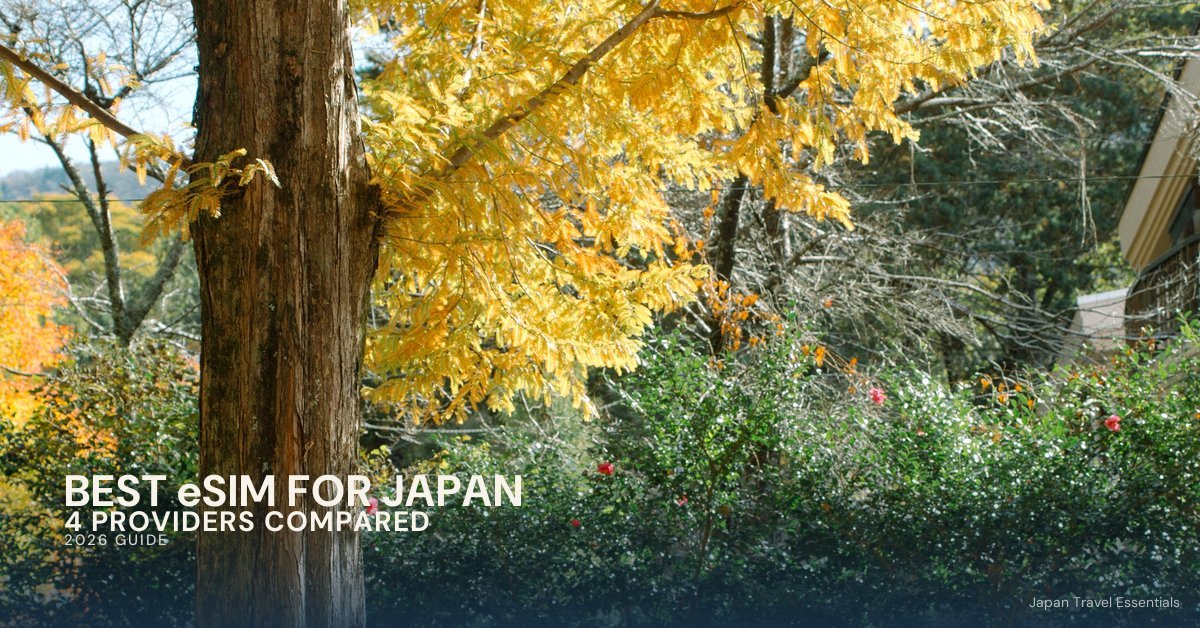 Woman photographing autumn foliage in Japan, from a 2026 guide comparing the best travel eSIM providers for Japan